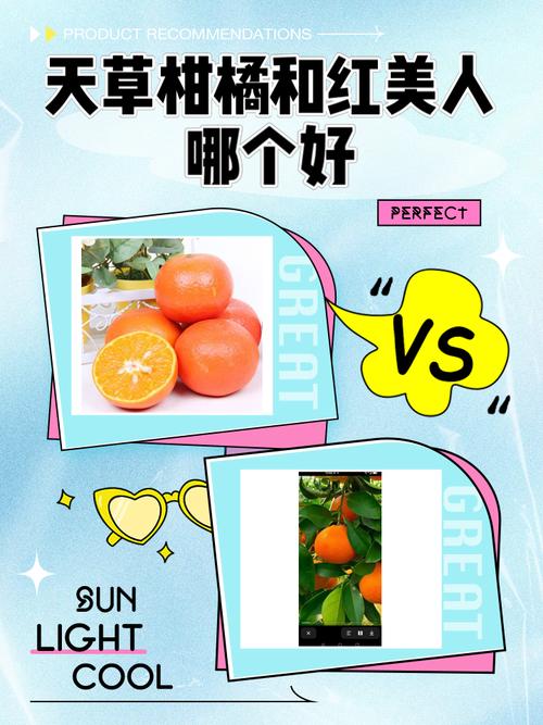 天草柑橘 vs 红美人:家庭种植首选红美人,商品化种植应优先考虑天草 场景化选择建议