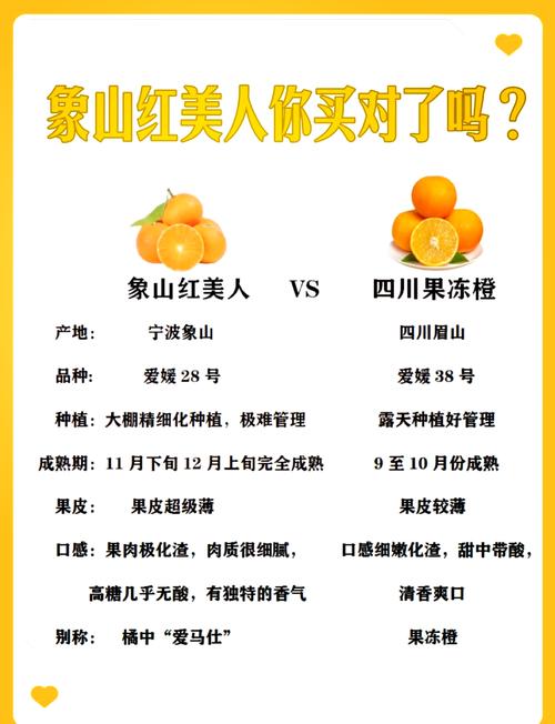 天草柑橘 vs 红美人:家庭种植首选红美人,商品化种植应优先考虑天草 苗木采购核心标准