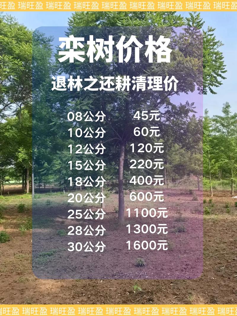 栾树价格是多少?2026年最新市场报价与选购指南 常见问题解答(FAQ)