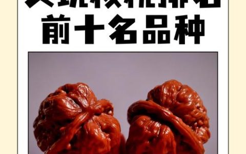 小核桃是什么品种？一篇读懂山核桃与普通核桃的区别