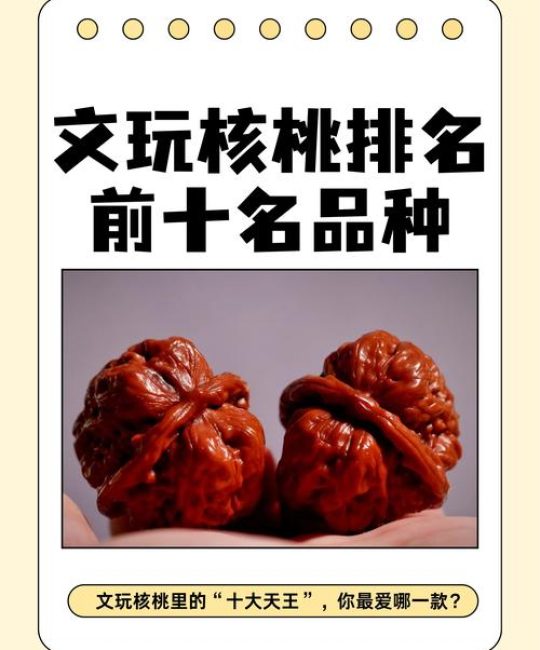 小核桃是什么品种？一篇读懂山核桃与普通核桃的区别