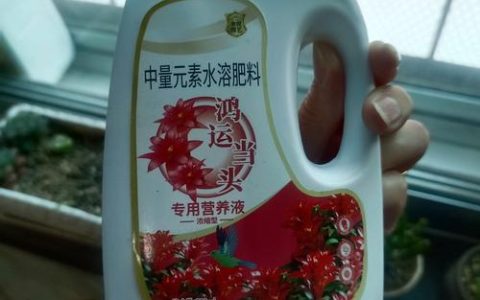 家庭养花肥料选择与综合养护指南