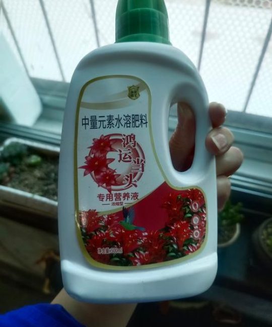 家庭养花肥料选择与综合养护指南