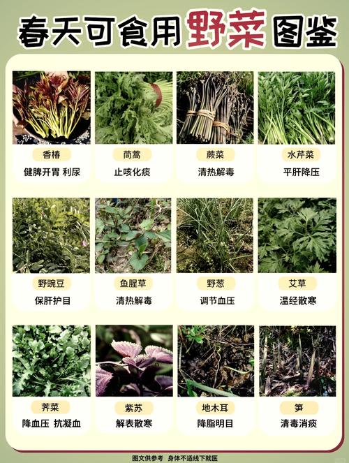 常见错误与避坑指南
