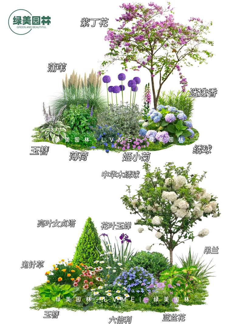 庭院花木树栽种指南:精选3种适合庭院的观赏树木 二、种植方案与养护计划