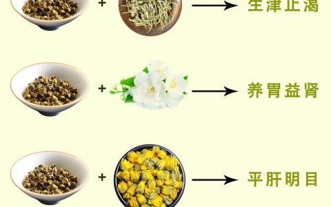 石斛花能不能长期泡开水喝？从园艺到养生的全面解读