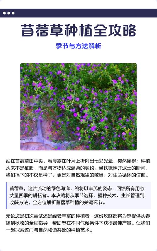 紫花苜蓿种植技术全攻略:从选时到成活的七个关键步骤 四、播种深度(栽植深度)