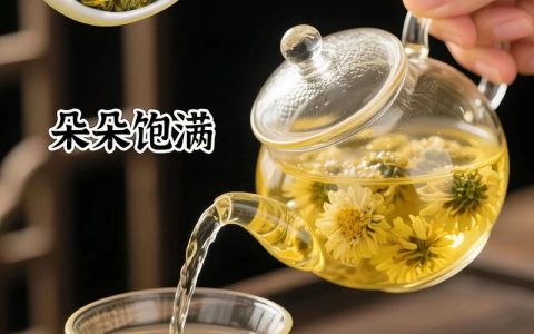 菊花适合多少度的水泡？菊花浇水与切花保鲜水温全指南