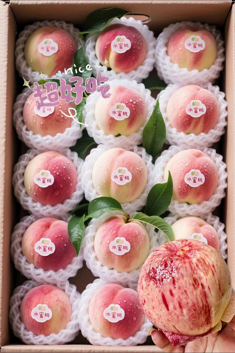 水蜜桃与软桃哪个甜?口感差异及选购指南 水蜜桃与软桃哪个甜?口感差异及选购指南