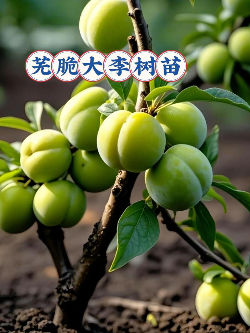 价格快速参考