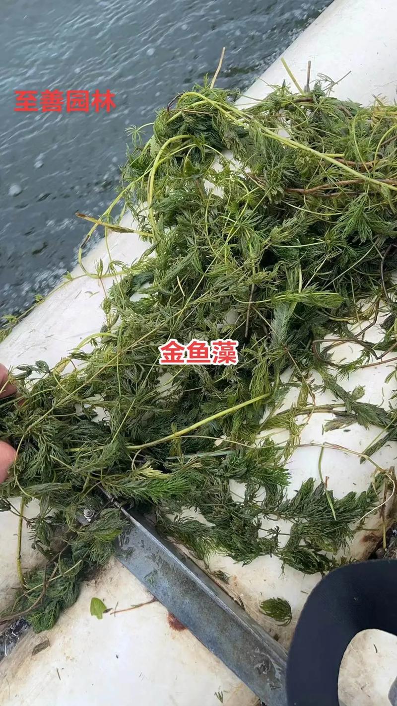 运输因素：距离与包装方式影响综合成本