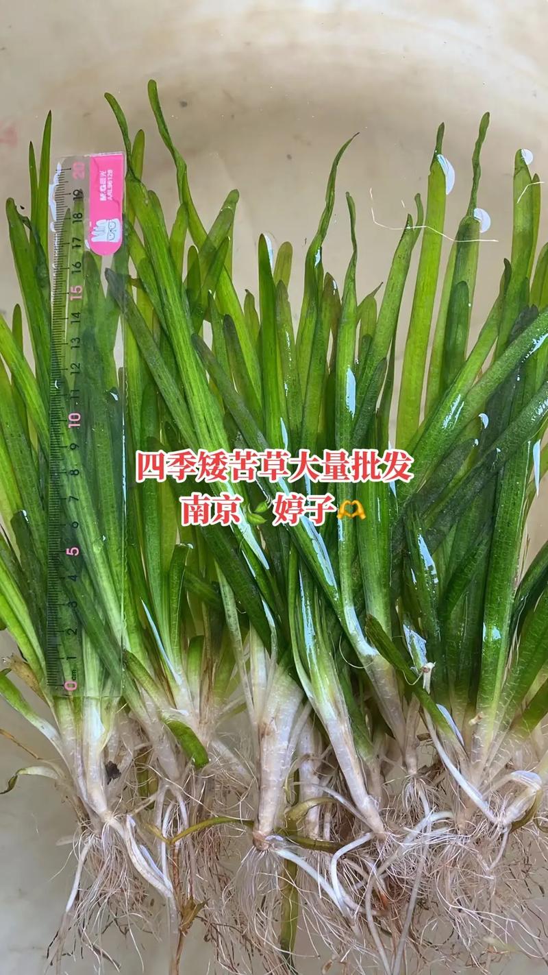 各因素影响价格速查表