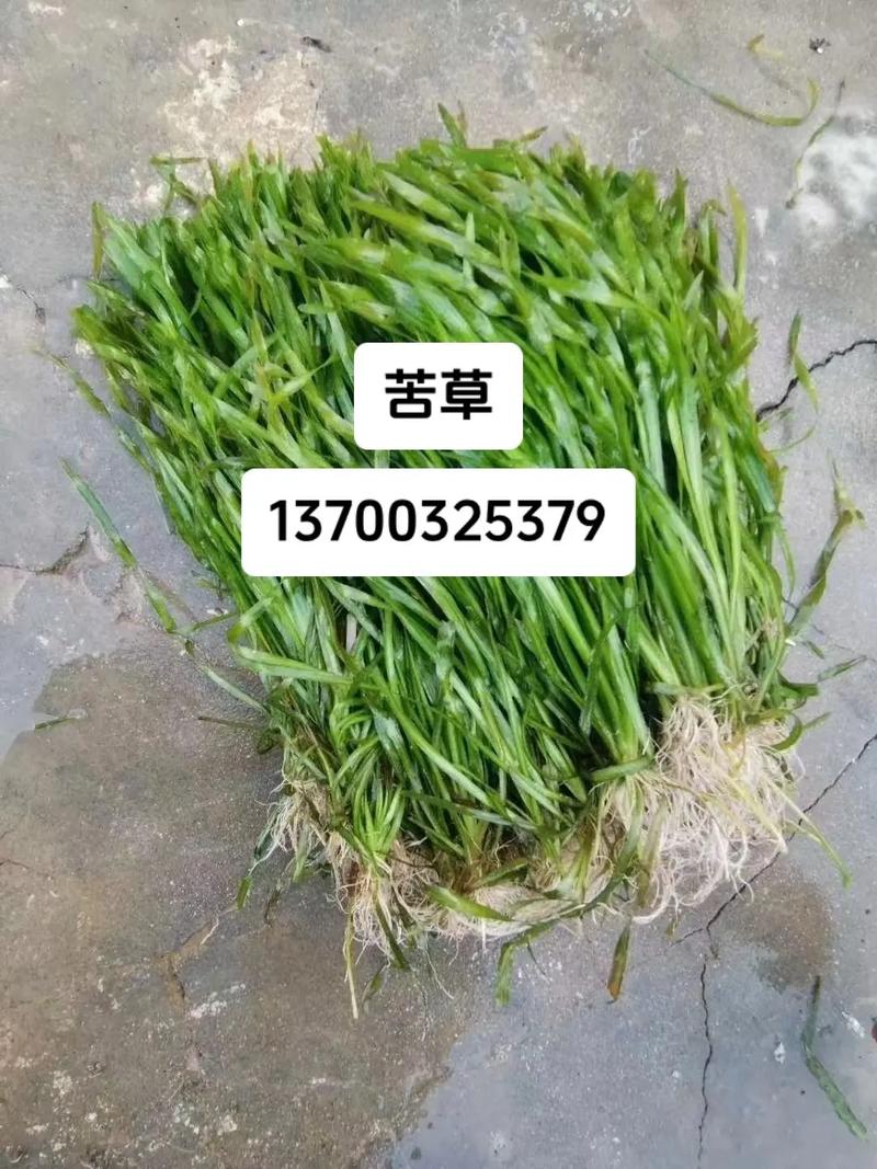 获取精准报价指南
