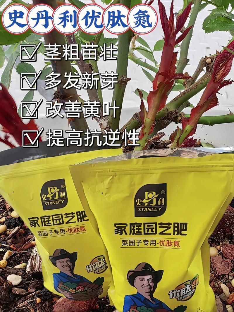 刚刚出苗可以施什么肥?掌握幼苗期施肥关键,让植物壮苗不烧根 四、不同植物的施肥差异