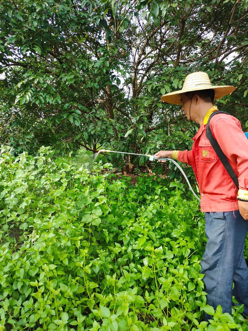 草太多怎么除草?园艺专家教你高效清除杂草的完整方案 二、高效清除:三种核心方法对比
