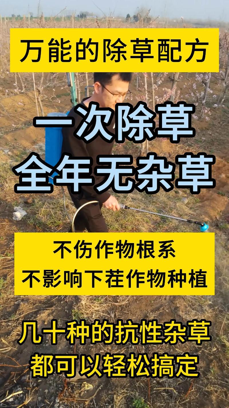 草太多怎么除草?园艺专家教你高效清除杂草的完整方案 结语