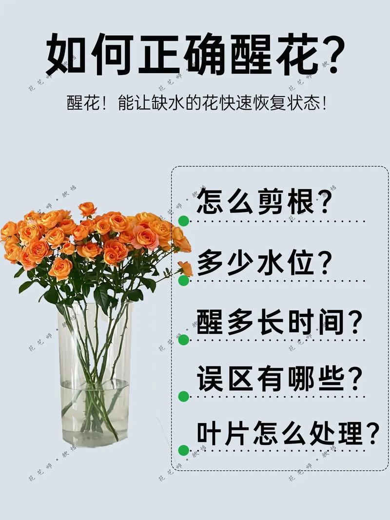 鲜花醒花用什么水?醒花用水的正确选择与详细步骤 为什么醒花用水如此关键