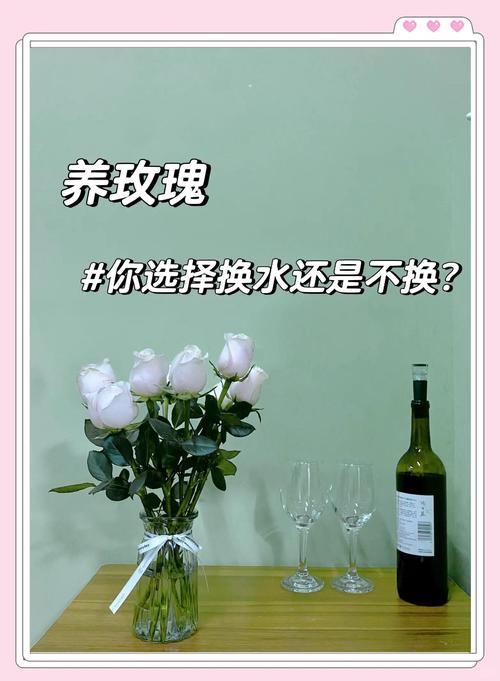 鲜花醒花用什么水?醒花用水的正确选择与详细步骤 常见误区提醒