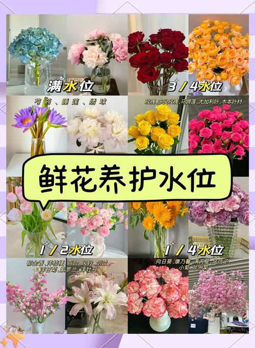 鲜花醒花用什么水?醒花用水的正确选择与详细步骤 结语