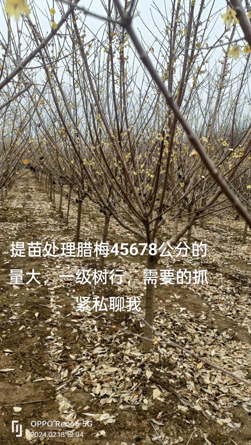 规格：决定价格的核心因素