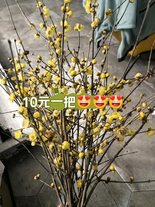 价格快速参考