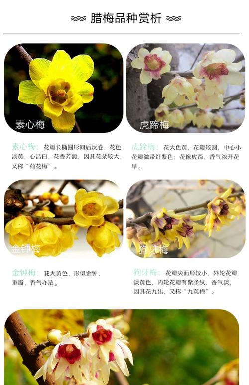 数量：零售与批发价差显著