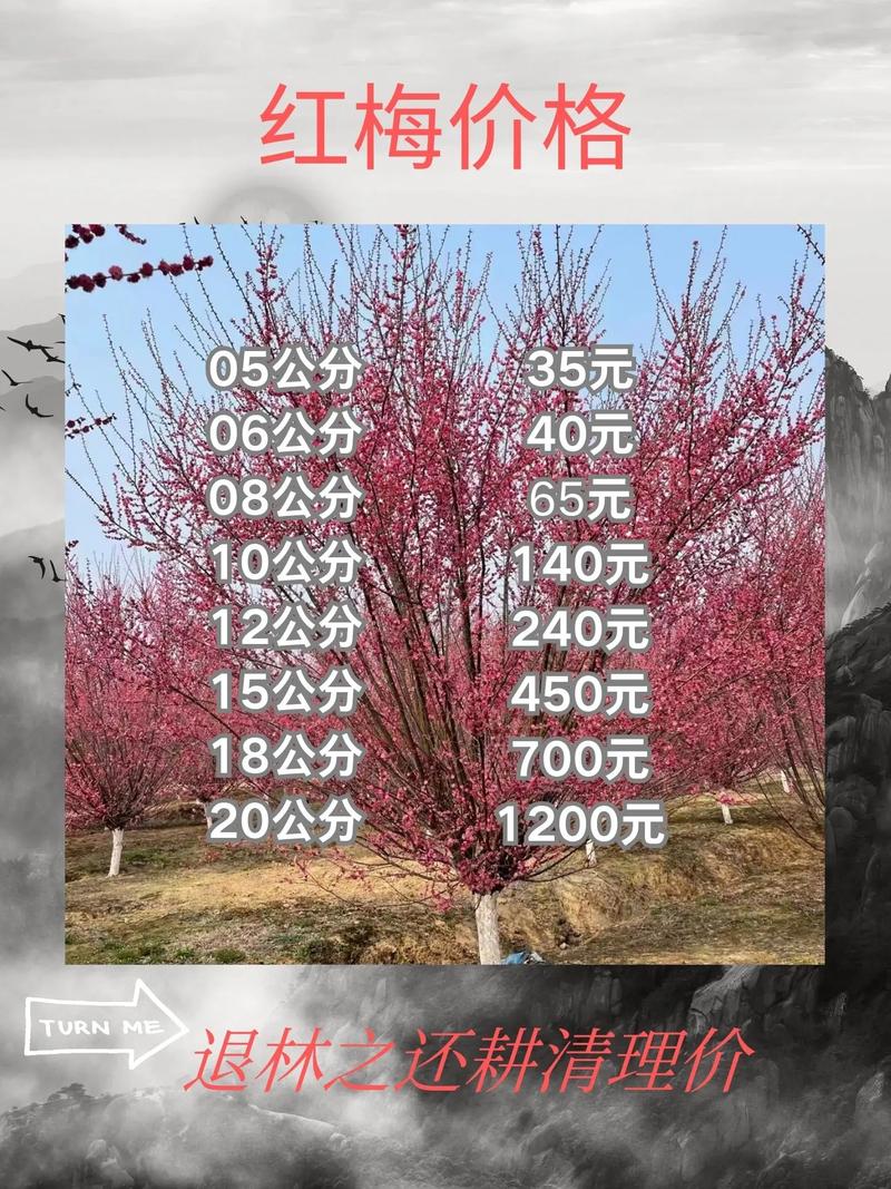 运输：物流成本需单独计算