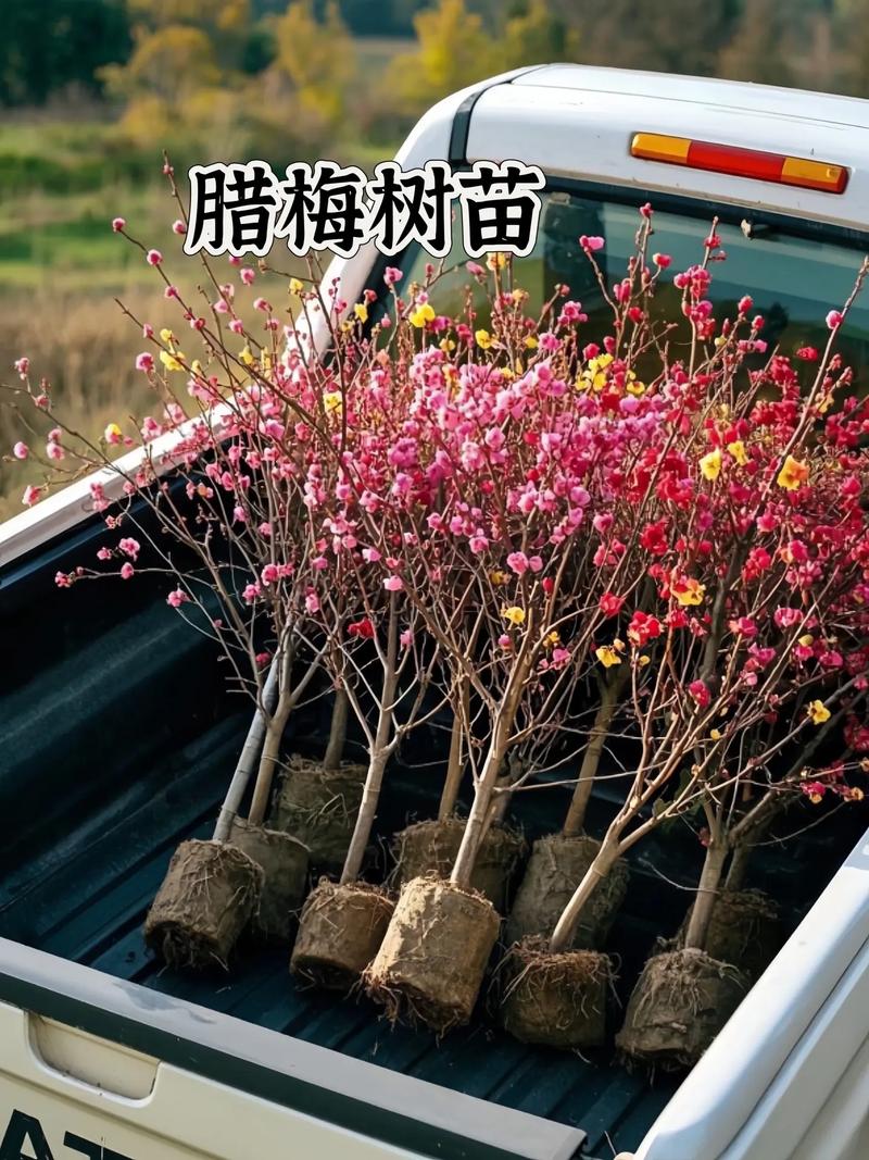 常见问题（FAQ）