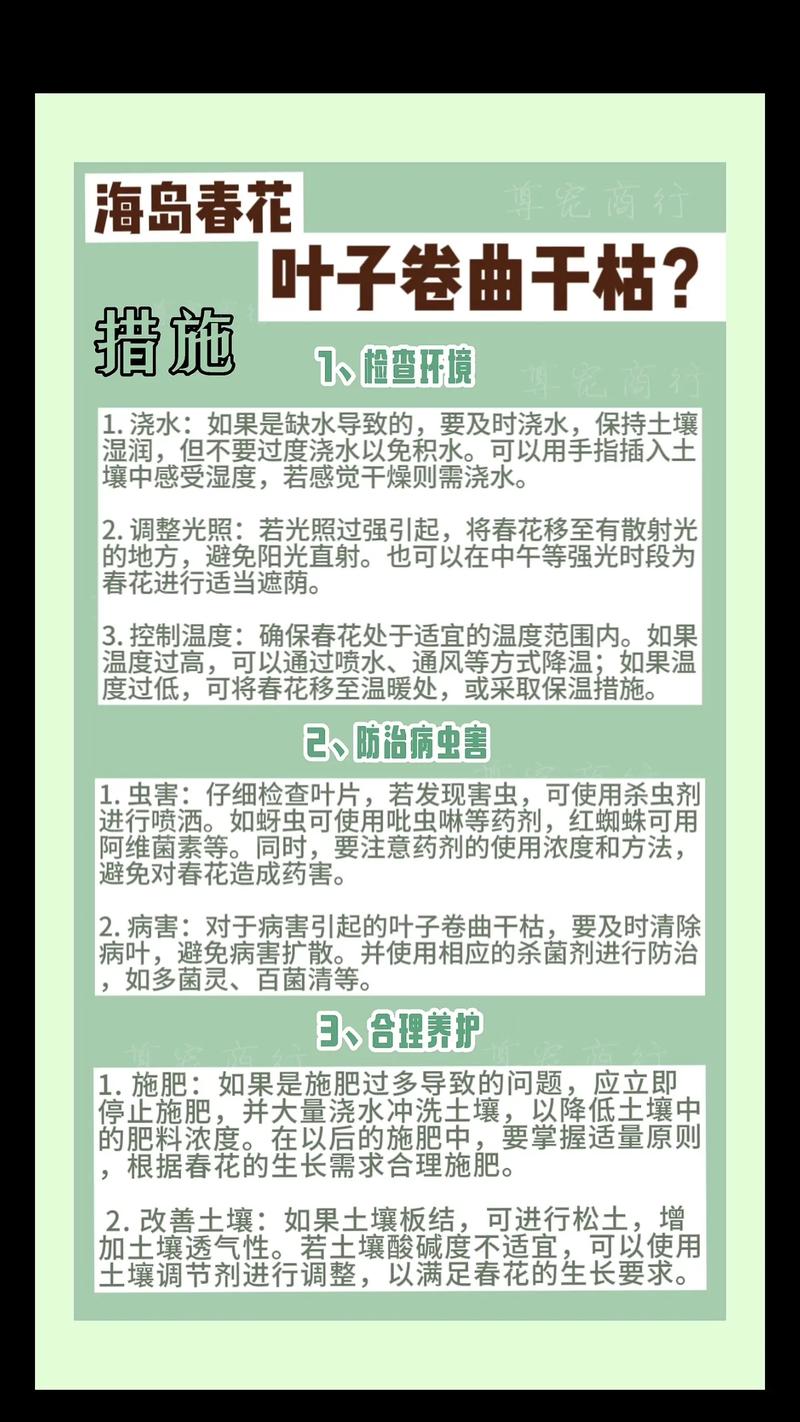 花草枯萎了怎么办?一文读懂四大原因与分步排查指南 三、针对每个原因的处理办法