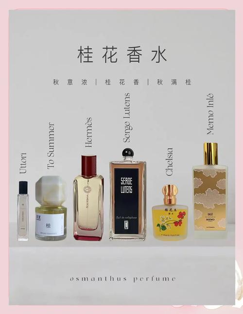 桂林桂花香水多少钱一瓶?2025年最新价格参考与影响因素解析 价格影响因素一览表