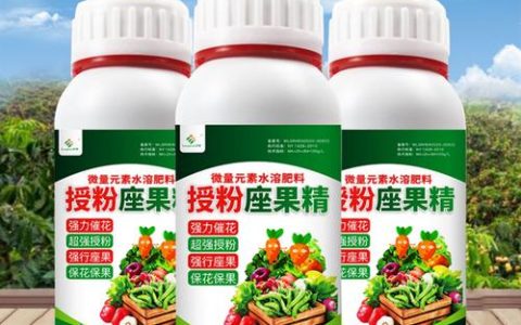 大樱桃授粉专用药是什么？赤霉素与硼肥的最佳使用时机与操作指南