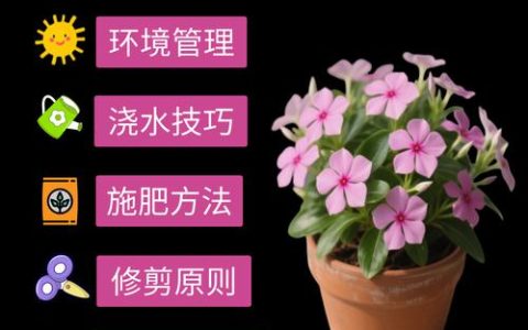 买回来的花怎么才能养活？一篇到位的新手养护指南