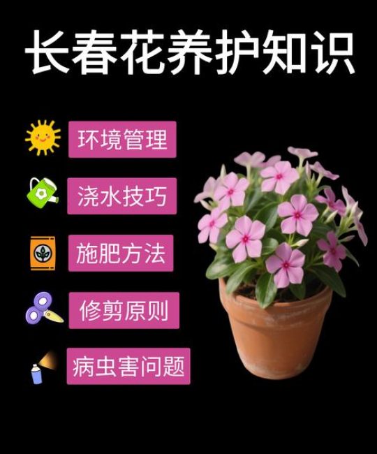 买回来的花怎么才能养活？一篇到位的新手养护指南