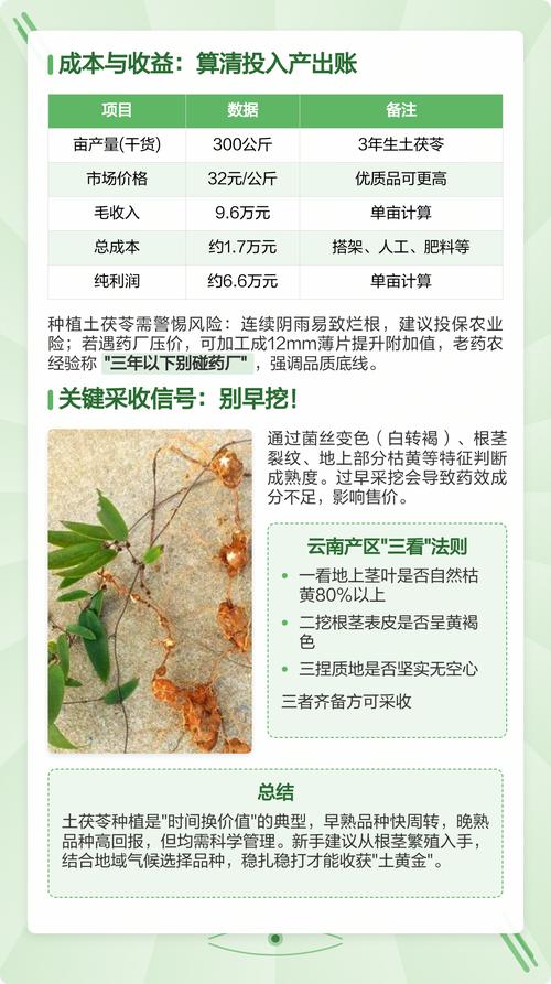 土茯苓种植指南:从选时到成活的完整操作流程 二、土壤环境