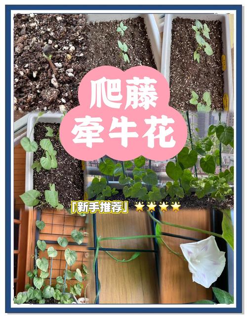 适宜时间