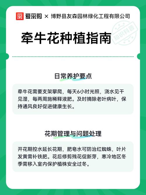 栽植深度