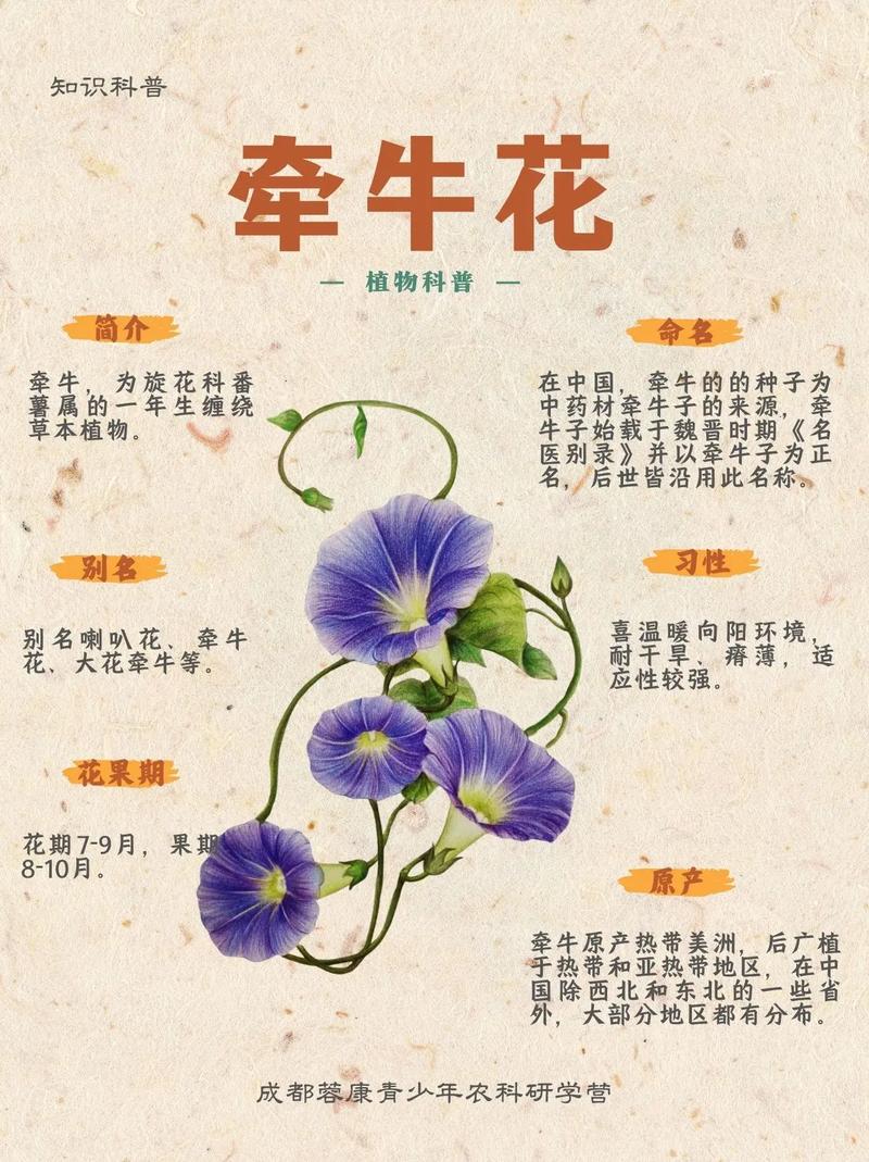 缓苗管理