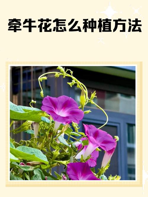 成活注意事项