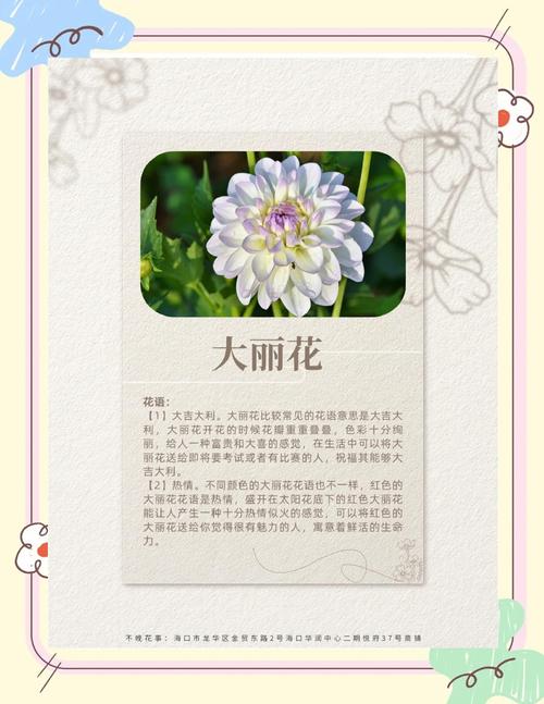 重瓣大丽花好养吗?从新手到老手的养护全攻略 二、好养的核心:抓住5个关键点