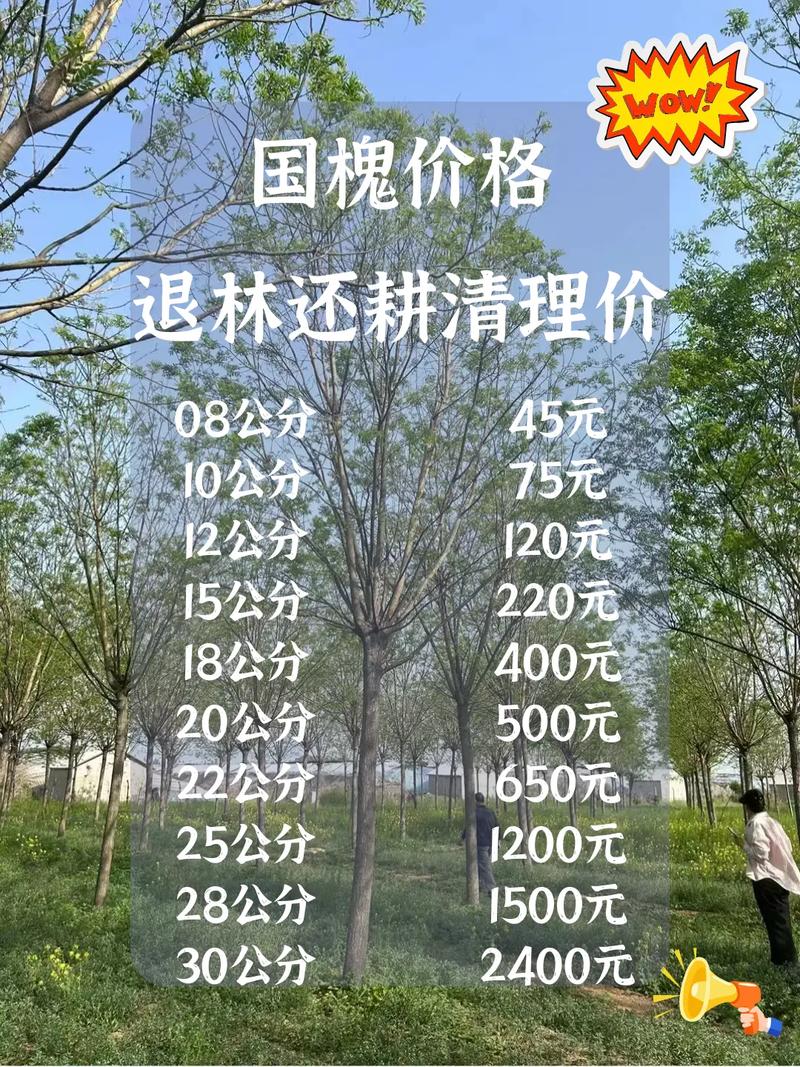 国槐苗价格多少?2025-2026年最新规格报价与五大影响因素全解析 运输成本:不可忽视的10%-30%附加费用
