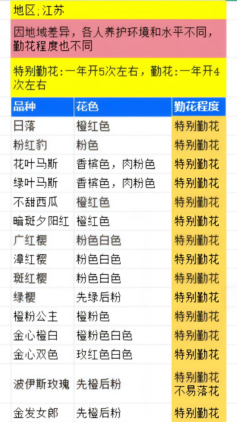 三角梅勤花品种前十名对比:家庭阳台种植首选推荐 三角梅勤花品种前十名对比:家庭阳台种植首选推荐