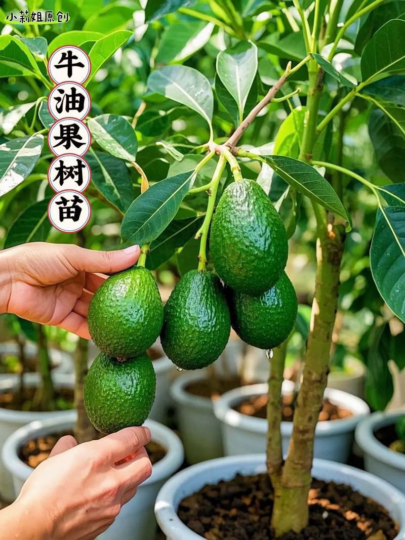结尾：获取您的专属报价