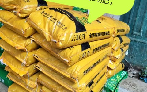甘蔗施什么肥料最甜？家庭种植与田间管理全攻略