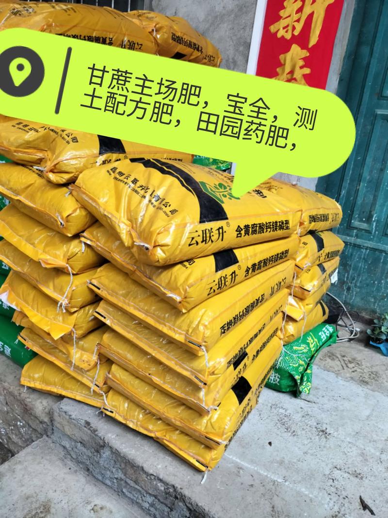 甘蔗施什么肥料最甜？家庭种植与田间管理全攻略