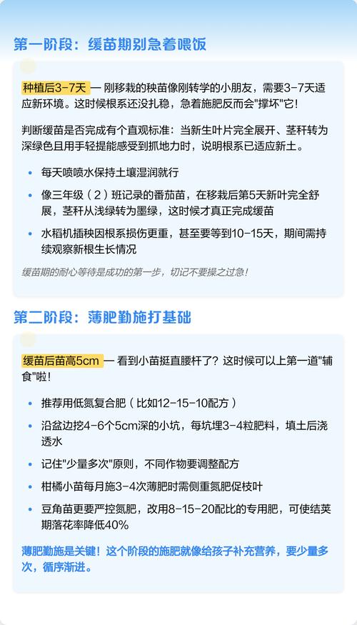 换盆/田间管理：适时移栽，选择合适时机