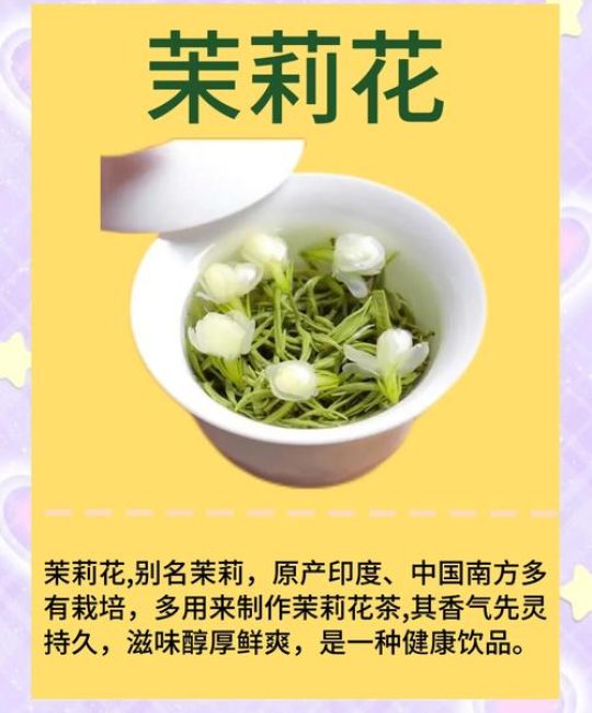 茉莉花茶怎么泡好喝