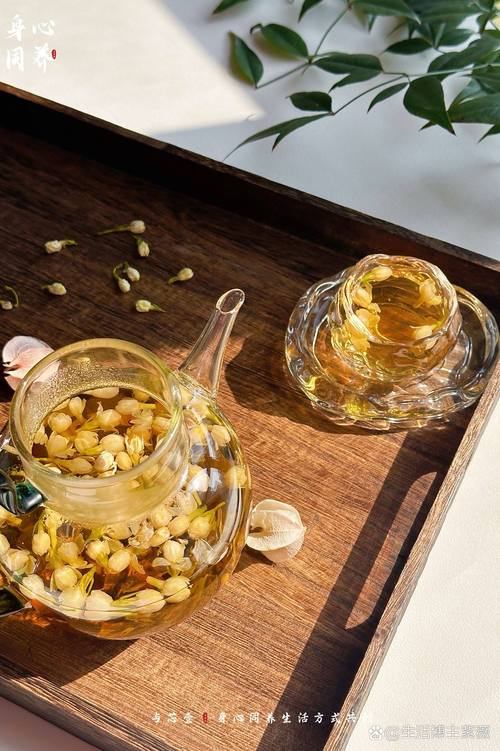 茉莉花茶怎么泡好喝 器为茶之身,以盖碗为佳