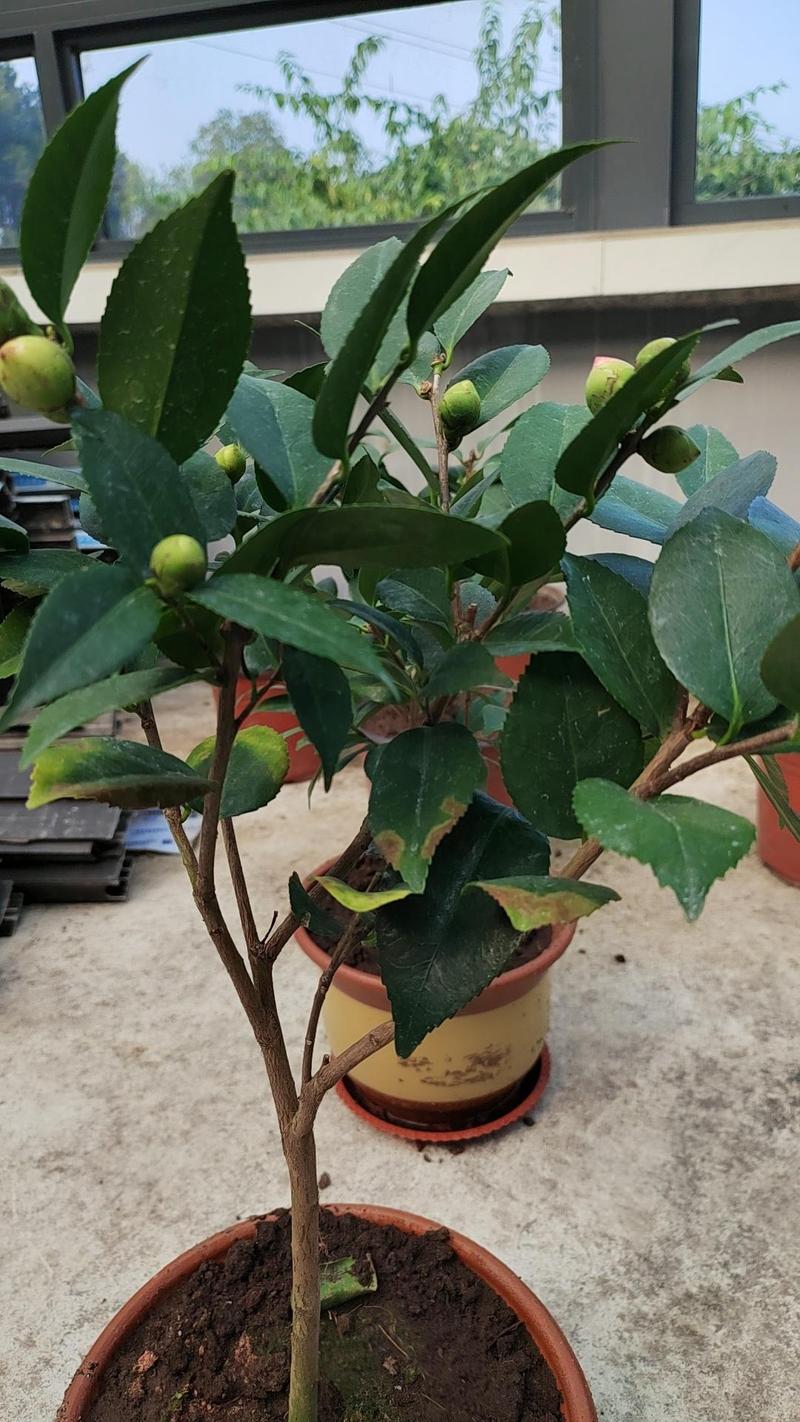 常见误区与纠正