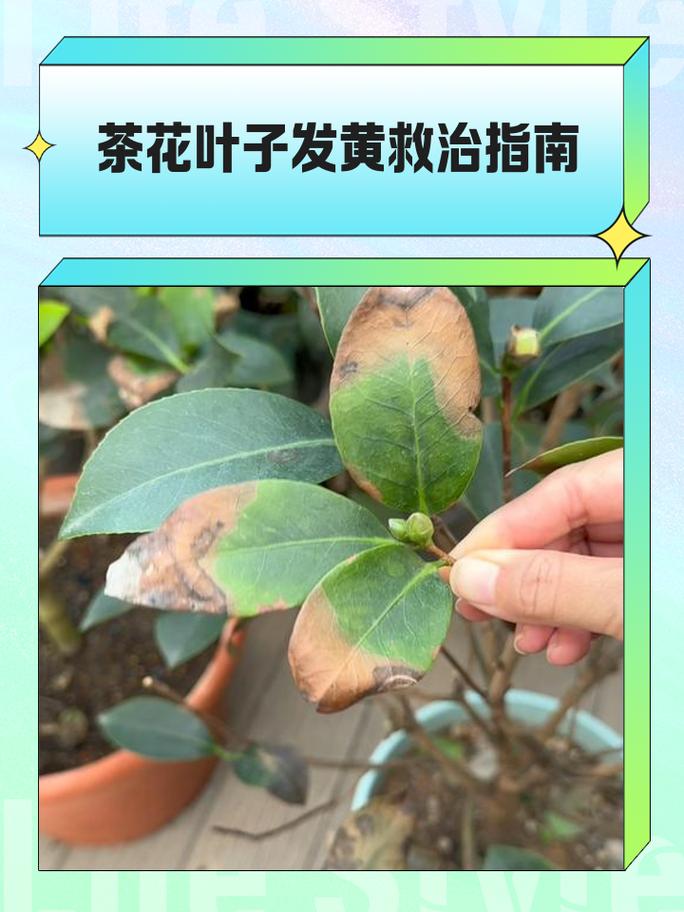 总结