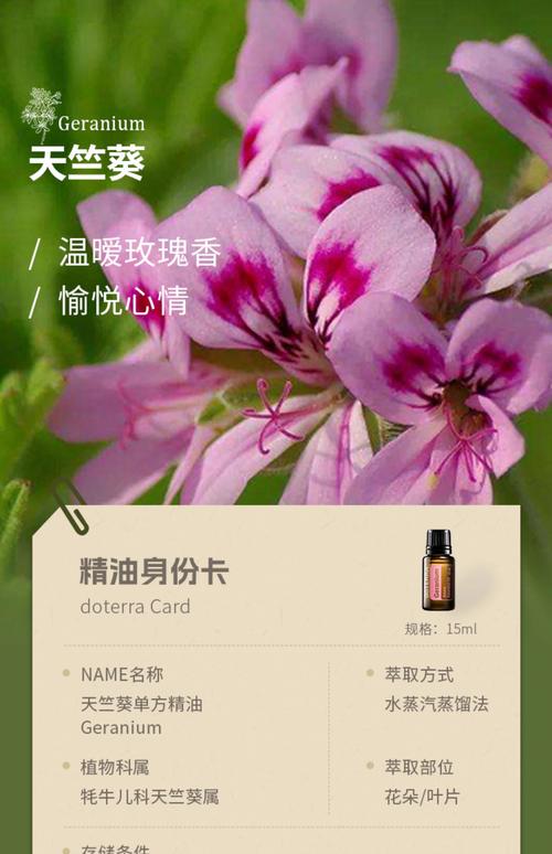 综合评估：葵花油到底好不好？